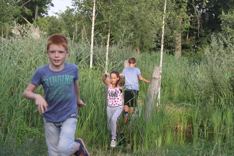 Kampfoto 2018