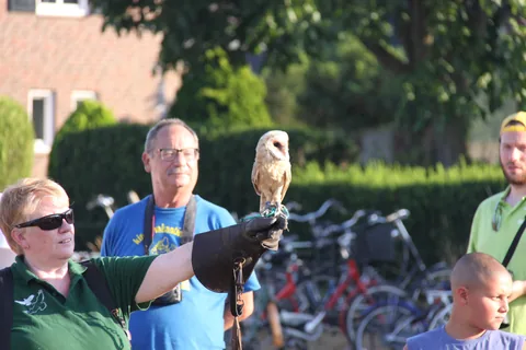 Kampfoto 2018