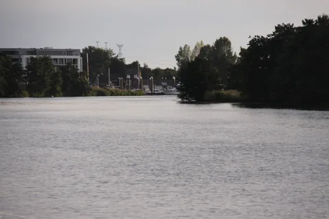 Kampfoto 2019