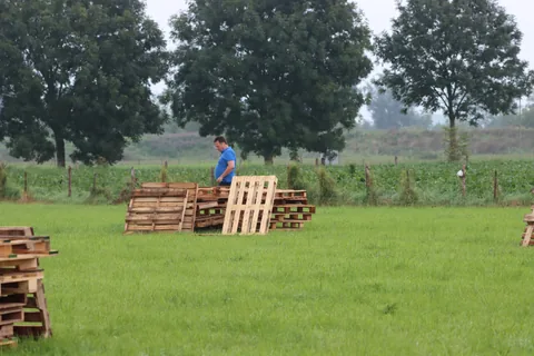 Kampfoto 2021