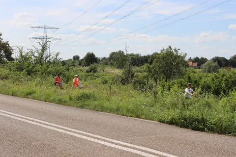 Kampfoto 2024