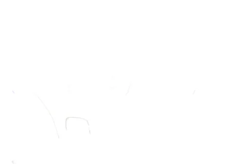 Kampfoto 2024