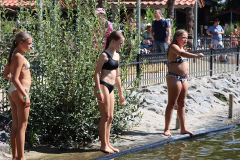 Kampfoto 2026
